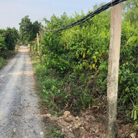 1000M2 Giá Chỉ 650 Triệu, Tổngdiện Tích6750M2 Đường Bờ Đê 7M, Cách Lộ 816 1,5Km