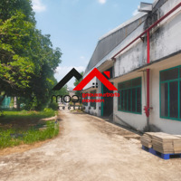 Cho Thuê 9200m² Xưởng CCN Bến Cát – Giá Chỉ 3,2USD/m². Liên hệ: Chothuexuongmiennam.com - 0366632092