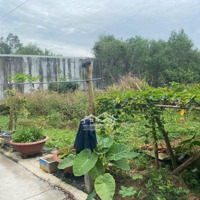 Cần Bán Gấp Lô Đất Thổ Cư Nằm Ngay Mặt Tiền Đường Vàm Ô Xã Đại Phước Nhơn Trạch,Diện Tích122M