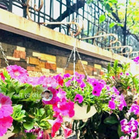 Gía Chào 78 Tỷ. Bán Biệt Thự Liền Kề Cao Cấp Kđt Sudico Sông Đà Mỹ Đình. Sang Chảnh, Đa Tiện Ích.