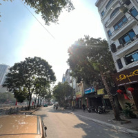 Bán Nhà Mặt Phố Vũ Tông Phan -Diện Tích71M - 7 Tầng -Mặt Tiền5.9M - Giá Bán 39 Tỷ Dòng Tiền Đỉnh - 7 Tầng Than