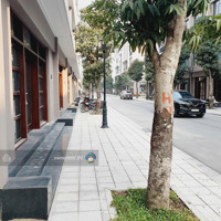 Kịch Độc Cho Giới Thượng Lưu! Liền Kề Xẻ Khe Mặt Tiền 9M, Tựa Bên Biển - Cuối Tuần Ngắm Pháo Hoa
