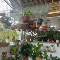 Cần Bán Nhà3 Tầngmặt Tiềntrần Nhân Tông, Sát Khúc Hạo. Sơn Trà Đn Rẻ Đẹp