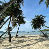 Chính Chủ Bán Đất Biển Vịnh Hoà, Xã Xuân Thịnh, Thị Xã Sông Cầu, Phú Yên, Đường Ô Tô, Chỉ 16 Triệu/M²