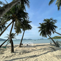 Chính Chủ Bán Đất Biển Vịnh Hoà, Xã Xuân Thịnh, Thị Xã Sông Cầu, Phú Yên, Đường Ô Tô, Chỉ 16 Triệu/M²