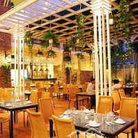 Duy Nhất - Cho Thuê Nhà Mặt Phố Quang Trung,Diện Tích200M X 3T,Mặt Tiền15M Nhận Diện Thương Hiệu Cực Đỉnh