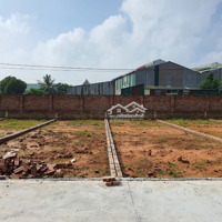 Tài Chính Nhú Tỷ Mụa Đất Đường 5M Full Thổ Cư Tại Xuân Đồng-Tân Minh Sổ Cực Đẹp. Liên Hệ: 0976677492