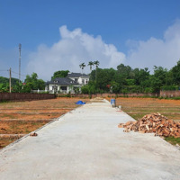 Tài Chính Nhú Tỷ Mụa Đất Đường 5M Full Thổ Cư Tại Xuân Đồng-Tân Minh Sổ Cực Đẹp. Liên Hệ: 0976677492
