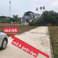 Tài Chính Nhú Tỷ Mụa Đất Đường 5M Full Thổ Cư Tại Xuân Đồng-Tân Minh Sổ Cực Đẹp. Liên Hệ: 0976677492