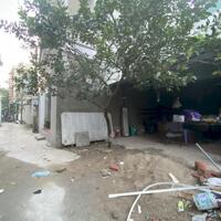 BÁN GẤP LÔ ĐẤT DUY NHẤT – HƯỚNG NAM MÁT MẺ – 60M² – ĐƯỜNG Ô TÔ – GẦN VIN CỔ LOA & CẦU TỨ LIÊN
