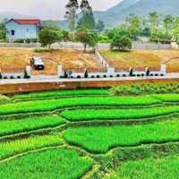 Chỉ 2 Triệu/M View Hà Giang Giữa Lòng Hòa Bình Cách Hà Nội Chỉ 35Km!