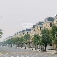 Biệt Thự Mặt Đại Lộ San Hô - Vinhome Ocean Park 2 Kinh Doanh Sinh Lời Vượt Trội