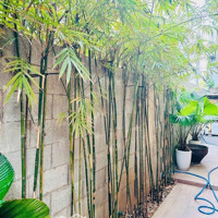 Tt Hải Châu- Biệt Thự 2 Mặt Tiền- 130M2 3 Tầng, 4 Pn- Đối Diện Công Viên Châu Á- Nhỉnh 11 Tỷ (Tl)