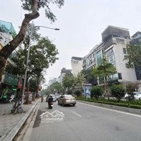 Bán Nhà Mặt Phố Lạc Long Quân ,Diện Tích51 X 7 Tầng Thang Máy, Kinh Doanh Ổn Định. Vỉa Hè Rộng.