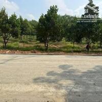 Cần bán mảnh đất vườn sổ sẵn hơn 1000m2 ( 12 x 85 ) ngay trung tâm thành phố