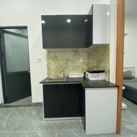 Bán Nhà 4 Tầng 1 Tum View Công Viên Sau Lưng Bùi Quốc Khái 10M5, Thu Nhập Từ Cho Thuê 40 Tr/1Th
