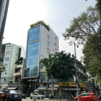 Tòa Building Mặt Tiền Trần Đình Xu Quận 1 -Diện Tích8 X 22M - Hầm - 9 Tầng - Hđt 538 Triệu - Giá Bán 95 Tỷ