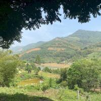 Bán 5,1ha đất rừng tại Tiến Sơn – Lương Sơn – Hòa Bình. Giá 5tỷ.