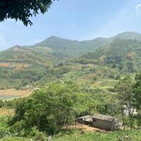 Bán 5,1ha đất rừng tại Tiến Sơn – Lương Sơn – Hòa Bình. Giá 5tỷ.