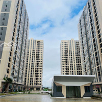 Bán Chỉ 1,39 Tỷ Căn Hộ Biển Đà Nẵng, Diện Tích 45M2, Ngay Cảng Quốc Tế Liên Chiểu