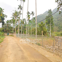 Em Còn 1 Lô Duy Nhất S=125M2 Full Thổ Cư, Giá Đầu Tư Cực Tốt, Sẵn Sổ Hồng, Đất Vuông Vắn
