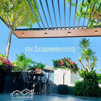 Bán Tòa Nhà Chdv Hẻm Đường Hoàng Sa, Tân Bình,Diện Tích81M2, 6 Tầng, 12P
