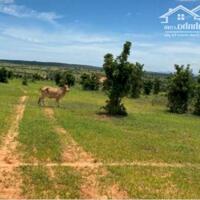 Cần bán nhanh-Đất gần Biển Mũi Né- Hồng Phong-Bắc Bình-DT 3,67Ha