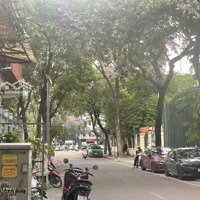Bán Đất Tại Đền Lừ, 80 Tỷ, 5058M2, Pháp Lý Đầy Đủ, Mặt Tiền 130M