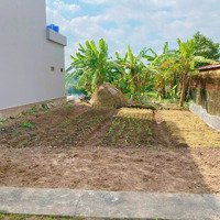 Đất Khu Biệt Thự Bình An - Đầu Tư Chỉ Với 299 Triệu - Sẵn Sổ