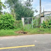 Hạ Giá Bán Gấp Đất Thổ Cưmặt Tiềnan Nhơn Tây Thuận Tiện Xây Kho Xưởng