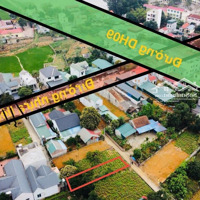 Bán Đất Tại Xã Hòa Thạch, Quốc Oai, Hà Nội, 2,6 Tỷ, 180 M2