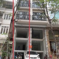 Cho Thuê Shophouse 40M2, Giá Tốt 50 Triệu Vnd Tại Cát Linh, Đống Đa, Hà Nội