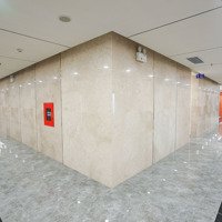 Cho Thuê 158M2 Tầng 14 Mặt Bằng Thương Mại Tại Tttt Chợ Mơ, Bạch Mai, Hai Bà Trưng, Hà Nội
