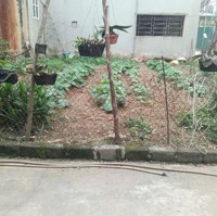 Hoa Hậu Cao Viên Hoa Hậu Lô Góc Siêu Nét Luôn Các Bác Nhé
67M2 Lô Góc 0374835555.
