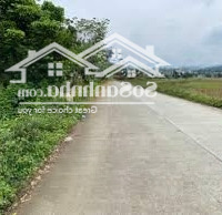 Cho Thuê Kho, Nhà Xưởng 135 Triệu, 9000M2 Tại Nguyễn Bình, Xã Hiệp Phước, Nhà Bè, Hcm Hàng Hot