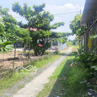Đất Vườn Qh Khu Dân Cưdiện Tích1000M2 Giá Cực Sốc 1Tỷ6Mặt Tiềnxe Hơi Vi Vu