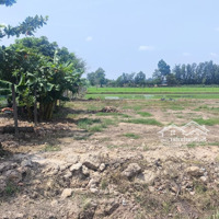 Đất Vườn Qh Khu Dân Cưdiện Tích1000M2 Giá Cực Sốc 1Tỷ6Mặt Tiềnxe Hơi Vi Vu