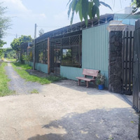 Đất Vườn Qh Khu Dân Cưdiện Tích1000M2 Giá Cực Sốc 1Tỷ6Mặt Tiềnxe Hơi Vi Vu