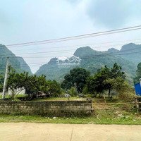 Cứu Cọc Gấp Cho Khách 10 Ngày Xuống Tiền Chỉ 2,6 Tỷ Sở Hữu 709M2 Thanh Sơn - Lương Sơn