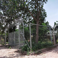Bán Nhanh 400M2 Đất Vườn Trồng Cây Lô Góc Đường Bê Tông Ô Tô Gồm 2 Sổ Hổng Giá Chỉ 1,2 Tỷ