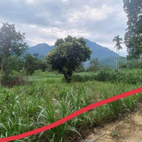 647M2 Tc 100M2 Mặt Tiền 14M Sổ Hồng Cc Trong Ngày Zalo 0357378825