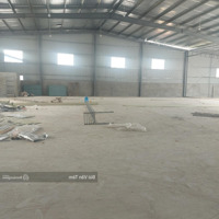 Cho Thuê Kho Ngũ Hiệp Thanh Trì Diện Tích: 500M2 Pccc Tự Động,Xuất Full Vat