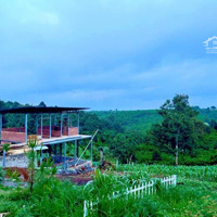 Bán Đất Bảo Lâm-Diện Tích415M2 (Ngang 10M) Có Thổ Cư, Cách Ql20 2.5Km, View Đẹp, Giá Tốt 1 Tỷ 190 Bao Sổ