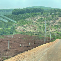 Bán Đất Tại Đường Sao Bọng - Đăng Hà, 742 Triệu, 287 M2, Bù Đăng, Bình Phước, Uy Tín Hot!