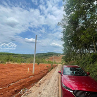 Bán Đất Tại Đường Sao Bọng - Đăng Hà, 742 Triệu, 287 M2, Bù Đăng, Bình Phước, Uy Tín Hot!
