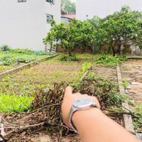 Cần Bán 85M2 Đất - An Bình - Dân Tiến - Khoái Châu - Hưng Yên