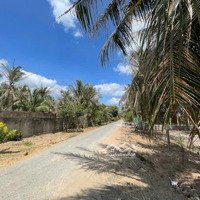 500M2 Vườn Dừa Mặt Tiền Nhựa - Cách Sông Chỉ Đúng 100M. Giá Chỉ: 650 Triệu Tân Phú Đông, Tiền Giang