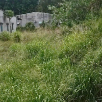 10X38=379M2 (Có 200M2 Thổ Cư) Cần Bán Lô Đất Tại Xã An Tịnh, Trảng Bàng, Tây Ninh Giá: 430 Triệu