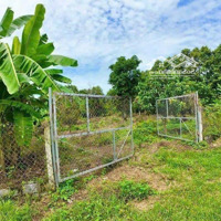 Bán Đất Đường Tỉnh Lộ 2, Diên Thọ, Diên Khánh, 1,8 Triệu/M2, 3140 M2 (Sổ Có Thổ Cư 400M2), Bán Gấp