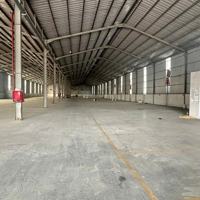 Cho Thuê Xưởng Thuận An 4100M Đường Cont Điện 250Kva Pccc Vách Tường Sx Đa Nghề